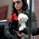 Image for article titled Should "News" Outlets Leave Britney Alone?